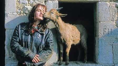 Vagabond