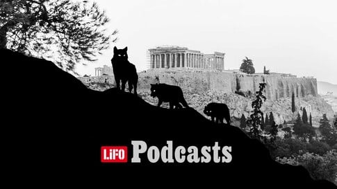 Λύκε, λύκε, είσαι εδώ; Όταν η άγρια ζωή φτάνει στην αυλή μας