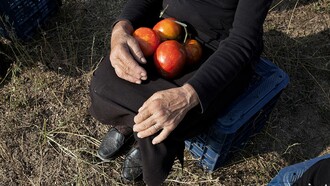 «Της πείνας τα καμώματα»: Ο Γεράσιμος Μπέκας γράφει απολαυστικά για τις «ντομάτες» στην Berlinale