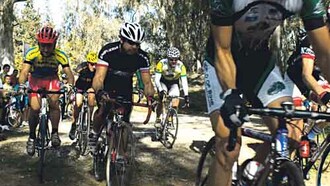 Bicycle Film Festival, ο Συμβολαιογράφος