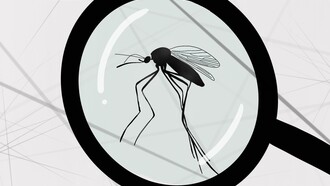 «Θα κάνουμε Χριστούγεννα με κουνούπια»: Επιστήμονας εξηγεί τι άλλαξε στο περιβάλλον