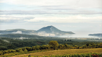 Messinia Terroirs