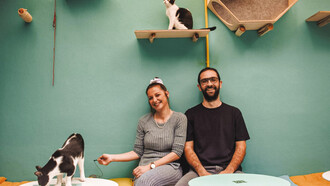 1o Cat Festival: Η περιέργεια γιόρτασε τη γάτα!