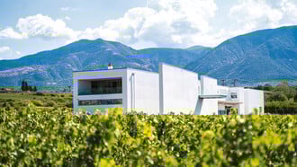 Νεαρός Τσαπουρνάκος από το Κτήμα Βογιατζή