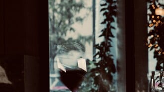 Χριστούγεννα στο ολοκαίνουργιο Zappa με εορταστικό πρόγραμμα και events