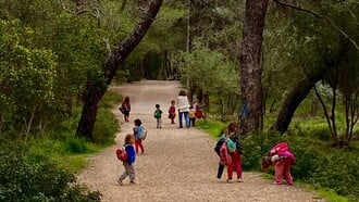 Παιδόκηπος Καρυδιά: Ένα ξεχωριστό νηπιαγωγείο που αγαπάνε παιδιά και γονείς 