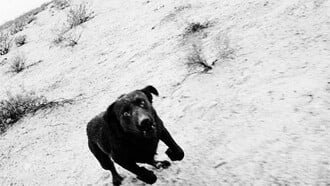 Μουσικάρες για ένα Σάββατο. Ο Στάθης Τσαγκαρουσιάνος επιλέγει.