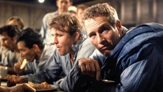cool hand luke