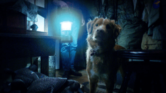 GOOD BOY
