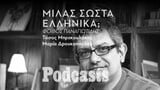 ΔΕΥΤΕΡΑ 13/12 - ΕΧΕΙ ΠΡΟΓΡΑΜΜΑΤΙΣΤΕΙ- Τι συμβαίνει όταν οι λέξεις δεν είναι αρκετές; - Ο γλωσσολόγος Φοίβος Παναγιωτίδης απαντά. 