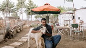Οικισμός Παπανδρέου: Το άγνωστο χωριό της Αθήνας