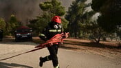 Antinero: Καταγγελία-μαμούθ για το μεγαλύτερο πρόγραμμα δασικής πρόληψης