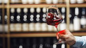 Wine Explorers: Μια καινοτόμα έκθεση κρασιού έρχεται σε Αθήνα και Θεσσαλονίκη