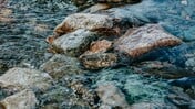 Χανταϊός: Από πού πήρε το όνομά του;