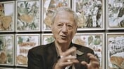 Γιάννης Ψυχοπαίδης: «Η ζωγραφική δεν μπορεί να αλλάξει τον κόσμο»