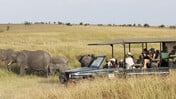 "Το WWF γεννήθηκε από τον ρατσισμό, την αποικιοκρατία και τον καπιταλισμό"
