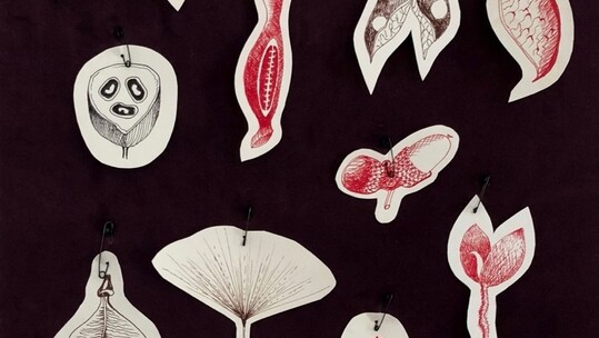 Silvina Der Meguerditchian, Please! Material and Immaterial Call