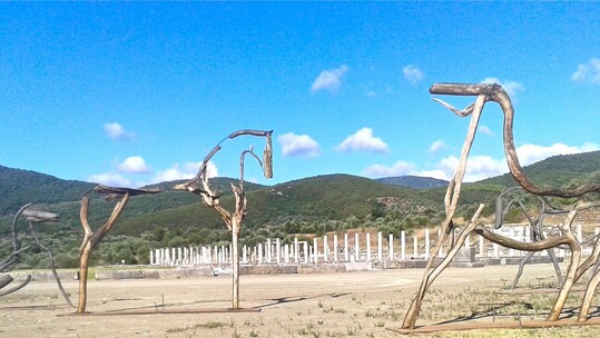  Θώρακες, άλογα και άνθη