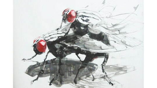 Παρενέργειες II