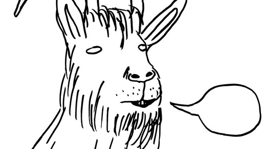 David Shrigley, Laughterhouse
