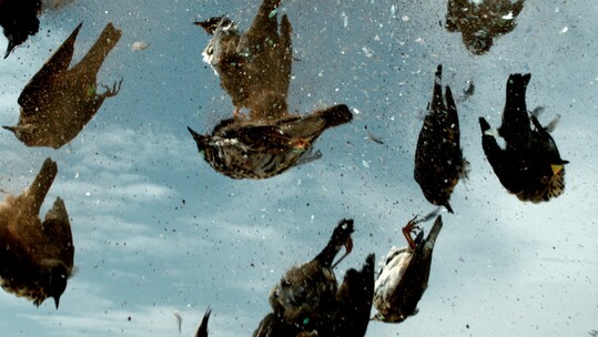 Athens Photo Festival 2017 