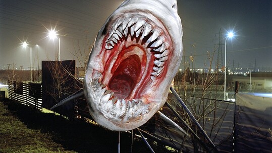 Στράτος Καλαφάτης, The pig and other stories