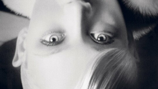 Όρδόλης- Bownik