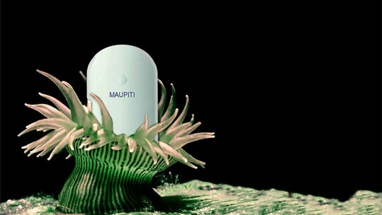 Ζωή Σκλέπα, Leave your house one morning