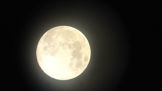 Full moon Night@White Noise