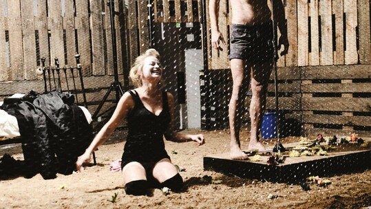 Είσαι σκοπός και γύρω σου χορεύουν τσοπανόσκυλα