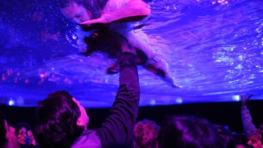 Fuerza Bruta