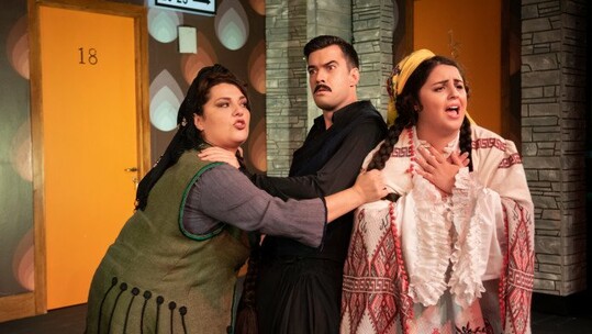 Μακρυκωσταίοι και Κοντογιώργηδες