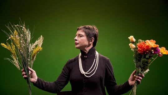 Green Porno - Live on Stage