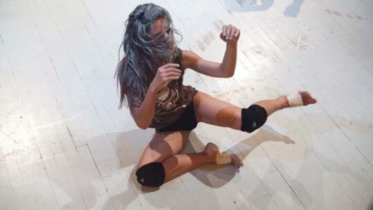 SPIDER INTERNATIONAL ARTISTIC PROJECT