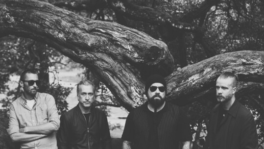 Ulver