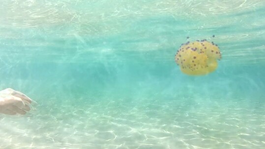 Αποκλειστικό: Ακούστε και κατεβάστε δωρεάν το νέο dance track του Nikonn