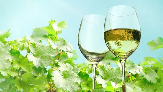 Wine & Dine με τη Σεμέλη Οινοποιητική