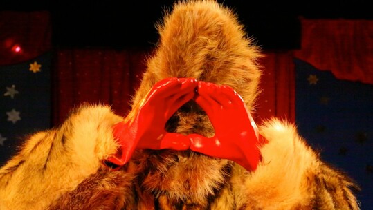 «Τσίρκο και ταριχευτές»: 4 βραβευμένες avant garde ταινίες στον θερινό κινηματογράφο Ριβιέρα