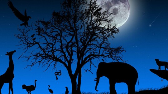 Το Αττικό Πάρκο μένει ανοιχτό για τρεις καλοκαιρινές βραδιές με πανσέληνο