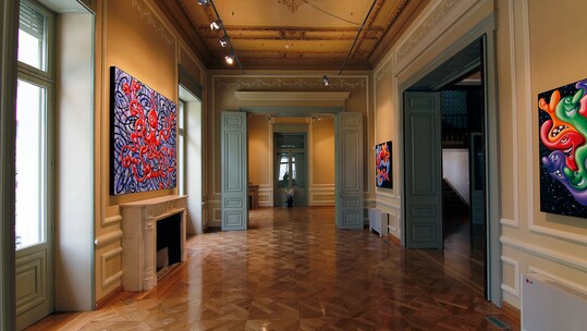 Το Μέγαρο Δεληγεώργη, μετά την Ταινιοθήκη της Ελλάδος, στεγάζει μια νέα αίθουσα τέχνης