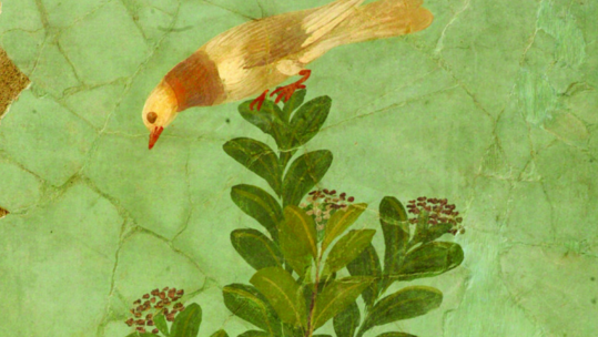 Λουκρητίου, Περί Φύσεως, Η κληρονομιά ενός επίμονου κηπουρού