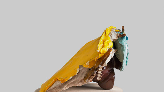 Ο Βέλγος καλλιτέχνης Peter Buggenhout στην γκαλερί Bernier/Eliades