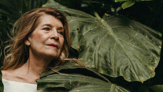 Η κυρία Κλάιν του Νίκολας Ράιτ