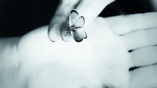 Pure Land - Τόλης Χατζηγνατίου