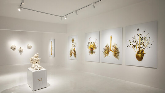 Costas Picadas: Anatomy unveiled