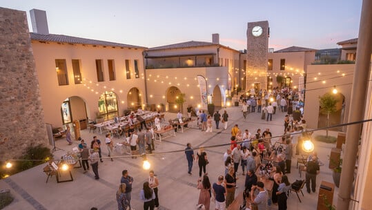 Messinia Terroirs Wine Festival: 