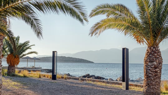 Το Ίδρυμα Γ. & Α. Μαμιδάκη απευθύνει ανοικτό κάλεσμα για το Βραβείο Τέχνης 2026