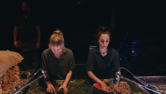 Cow | Deer: Το Εθνικό Θέατρο συνεργάζεται για πρώτη φορά με το Royal Court Theatre