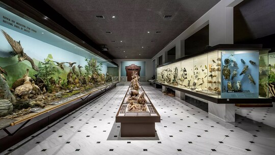 «Ο γύρος του κόσμου...σε 10 Κυριακές» στο Εθνικό Μουσείο Φυσικής Ιστορίας Γουλανδρή