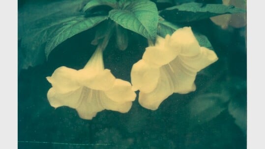 Ελισάβετ Μωράκη It’s Always the Sun 